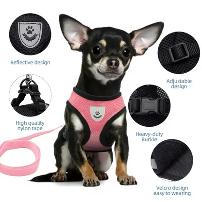 Adjustable Harness with Leash for Cats and Small Dogs