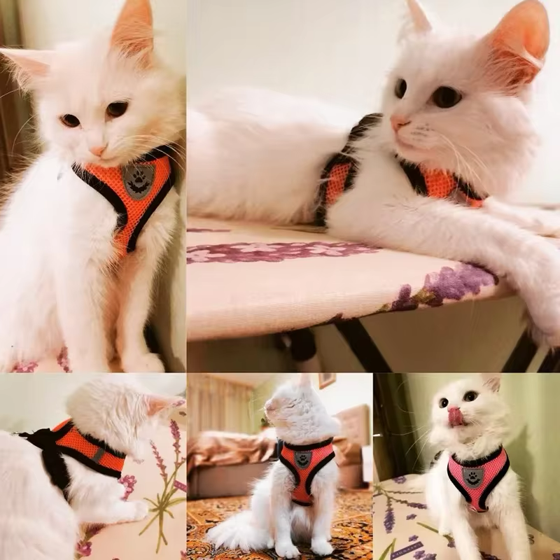 Adjustable Harness with Leash for Cats and Small Dogs