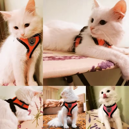 Adjustable Harness with Leash for Cats and Small Dogs