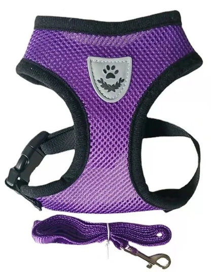 Adjustable Harness with Leash for Cats and Small Dogs