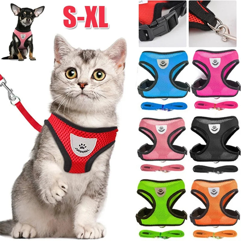 Adjustable Harness with Leash for Cats and Small Dogs