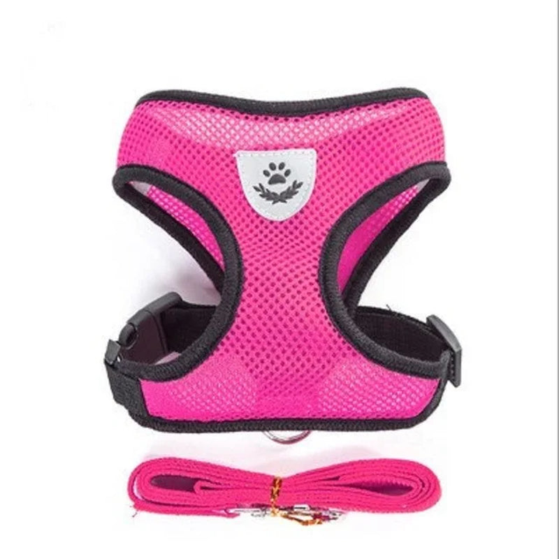 Adjustable Harness with Leash for Cats and Small Dogs