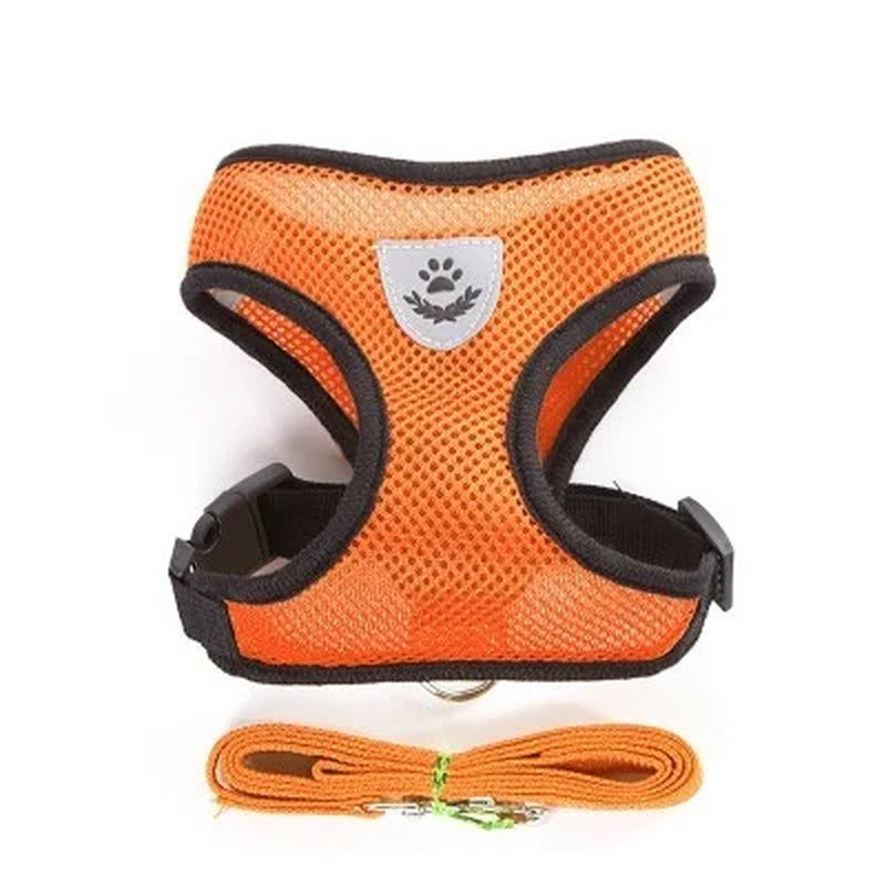 Adjustable Harness with Leash for Cats and Small Dogs